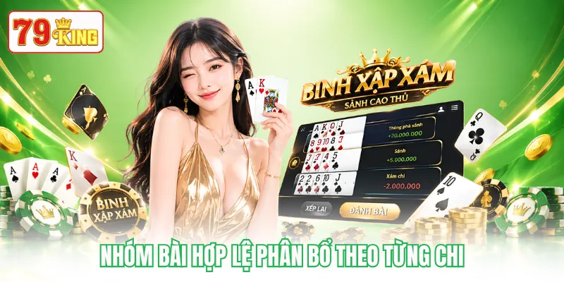 Nhóm bài hợp lệ phân bổ theo từng chi Nhóm bài hợp lệ phân bổ theo từng chi